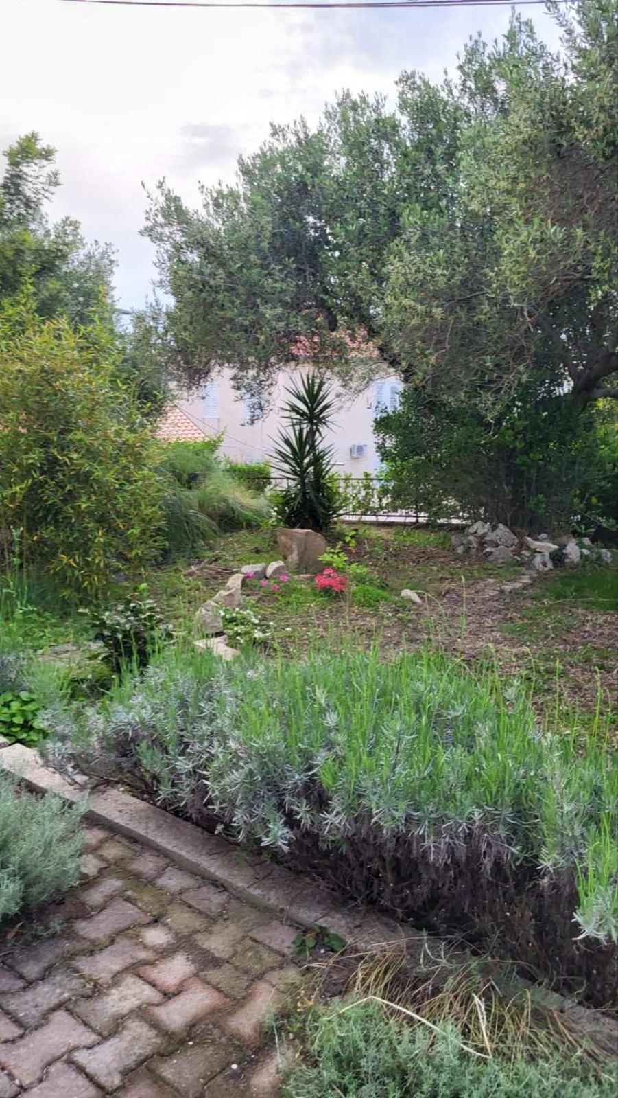 Apartman Padova Banjol Bagian luar foto